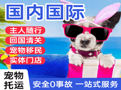 长沙机场快运国际宠物托运 【国